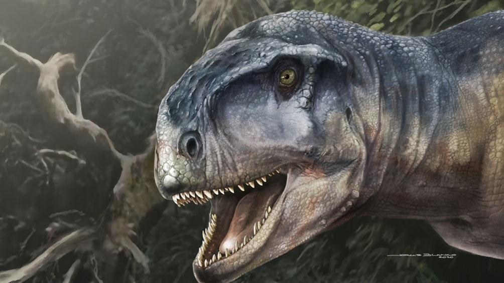 Afirman que fósiles hallados en Neuquén pertenecen a una nueva especie de dinosaurio