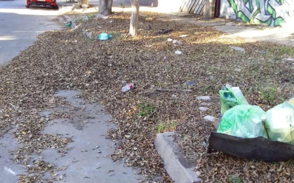 Conviven con basura y hojarasca en la vereda de 43 entre 27 y 28