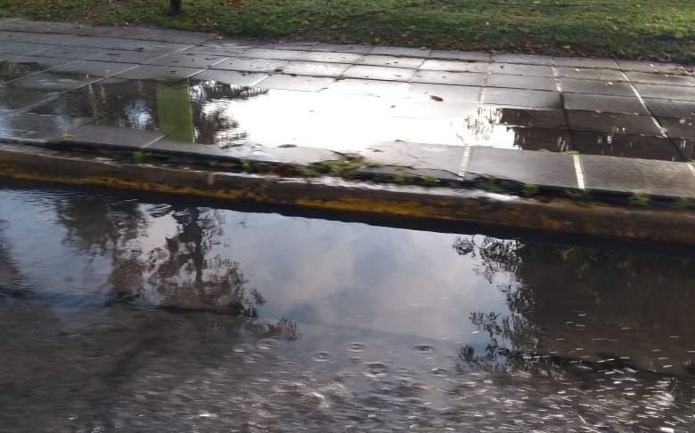 El drama de un barrio platense: una catarata en la plaza, ni una gota en sus casas