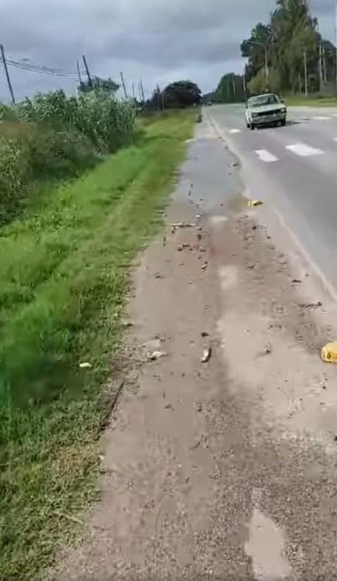 Crece el peligro en la bicisenda de 137 de 72 a 637: bloqueada por basura, agua y pastizales