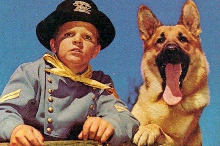 En la indigencia, murió Lee Aaker, el niño de “Rin Tin Tin”