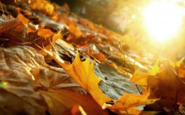 En pleno otoño continúa un clima primaveral