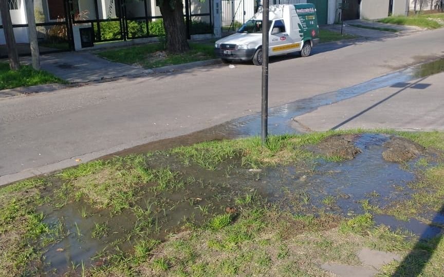 Desborde cloacal tiene a maltraer a barrio Jardín