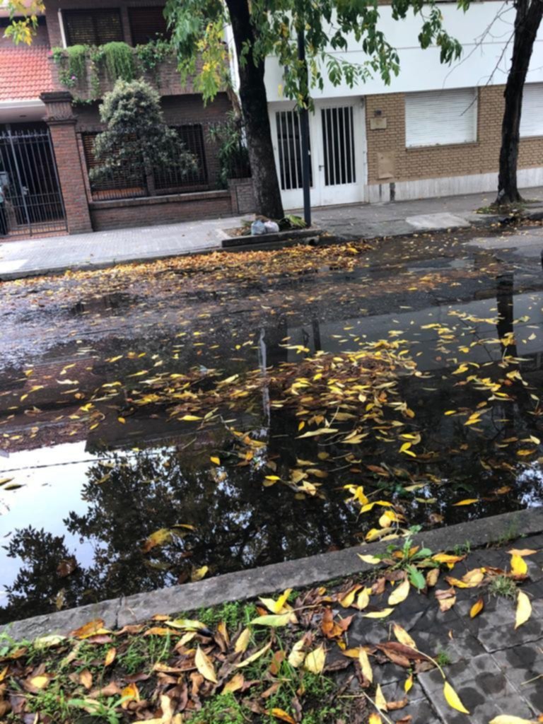 Desborde cloacal a metros de una escuela y un hospital