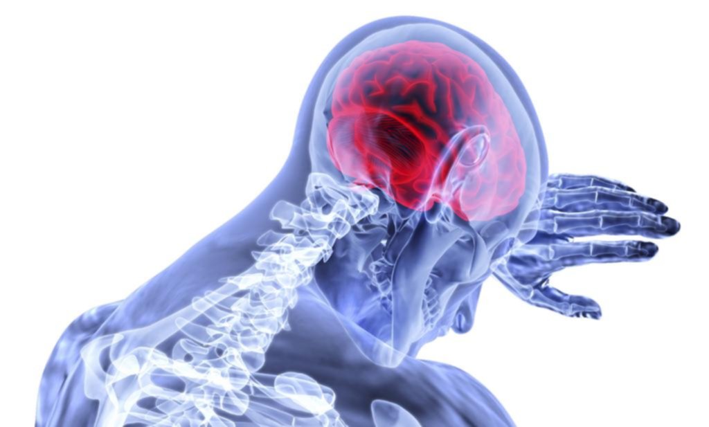 Científicos platenses explican cómo el cerebro avisa sobre los dolores