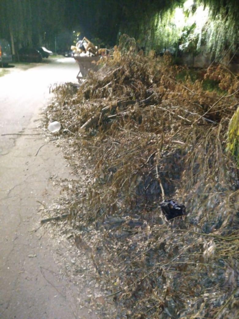 Nadie retira la basura ni los restos de poda en 3 bis y 83