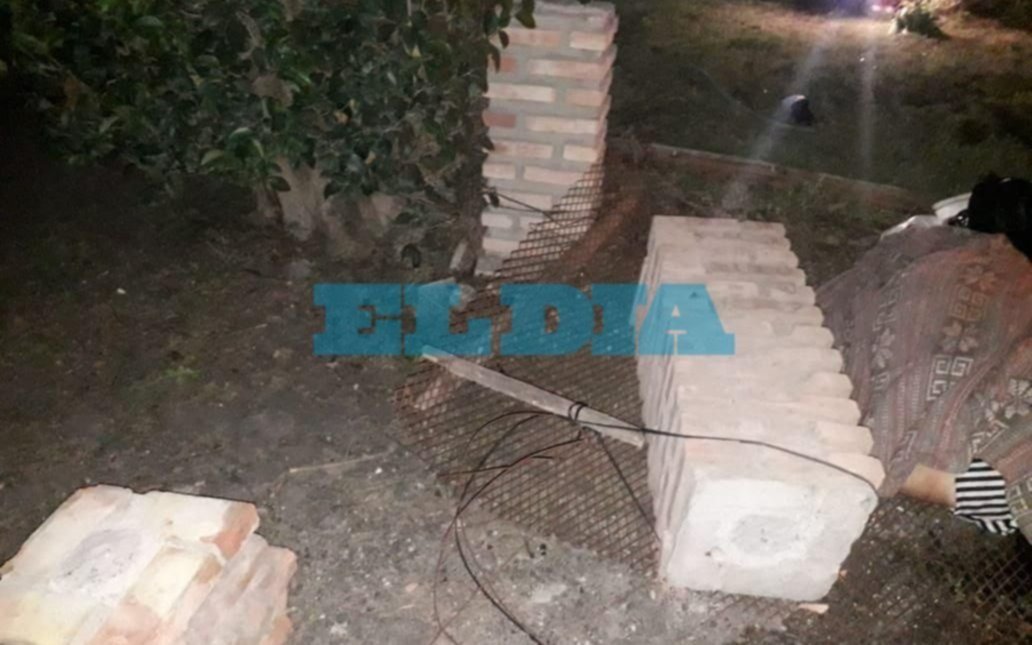 Pelea familiar trágica en La Plata: la empujaron, cayó una columna y le aplastó la cabeza