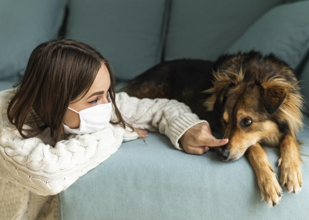 Covid: identifican casos de mascotas que fueron infectadas por personas