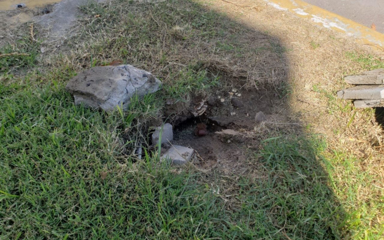Un pozo lleno de ratas, preocupa a vecinos de Ringuelet
