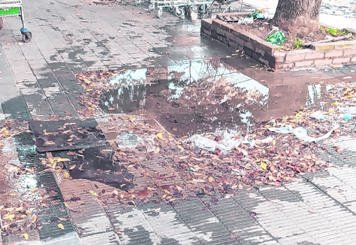 Laguna en la vereda, sin una gota en las viviendas