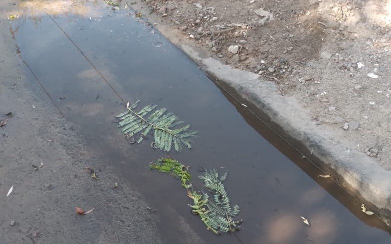 En Berisso reclaman por pérdidas de aguas servidas: "Es un foco infeccioso"