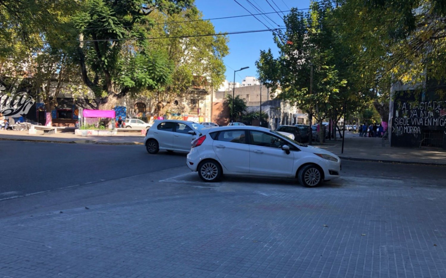 Estacioná dónde quieras: algunos lugares "tienen dueño" 