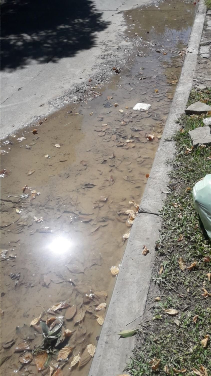 Denuncia por rotura de un caño de la red de agua City Bell