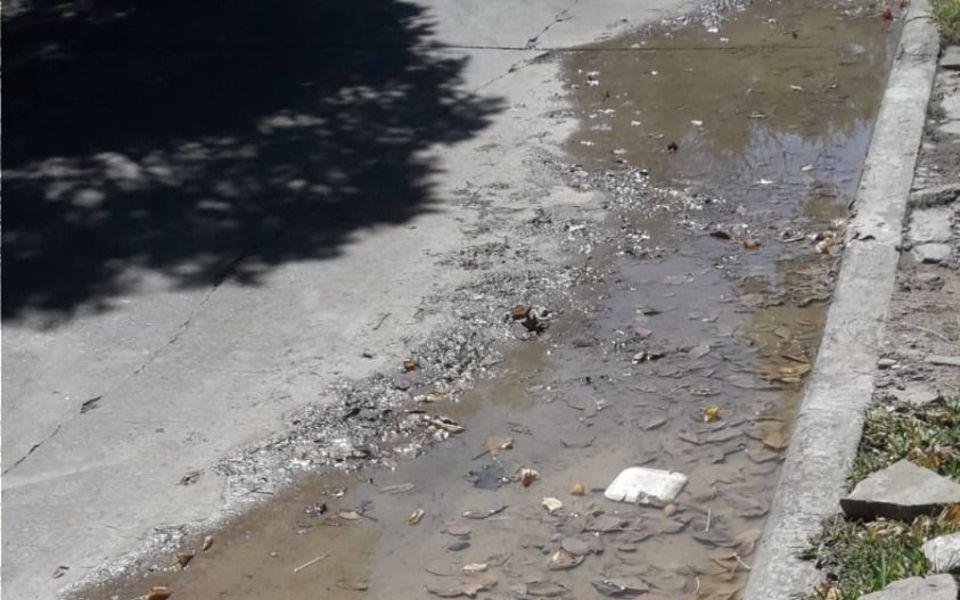 Quejas en City Bell por una cañería de agua rota