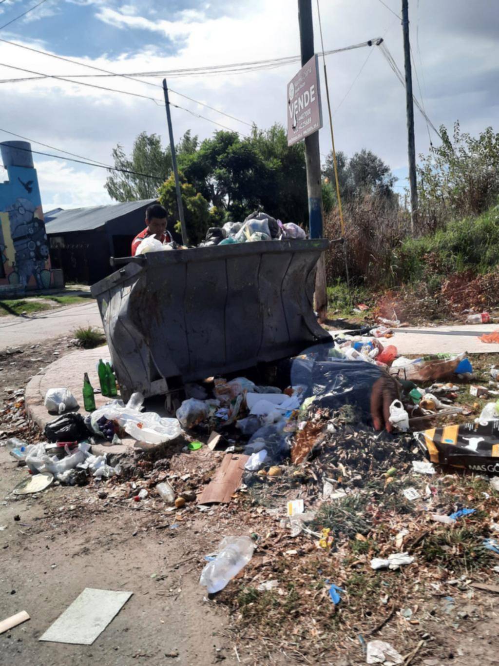 Desborde de basura y una invasión de ratas