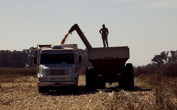 Transportistas de granos paran y amenazan con cortes de ruta por el gasoil