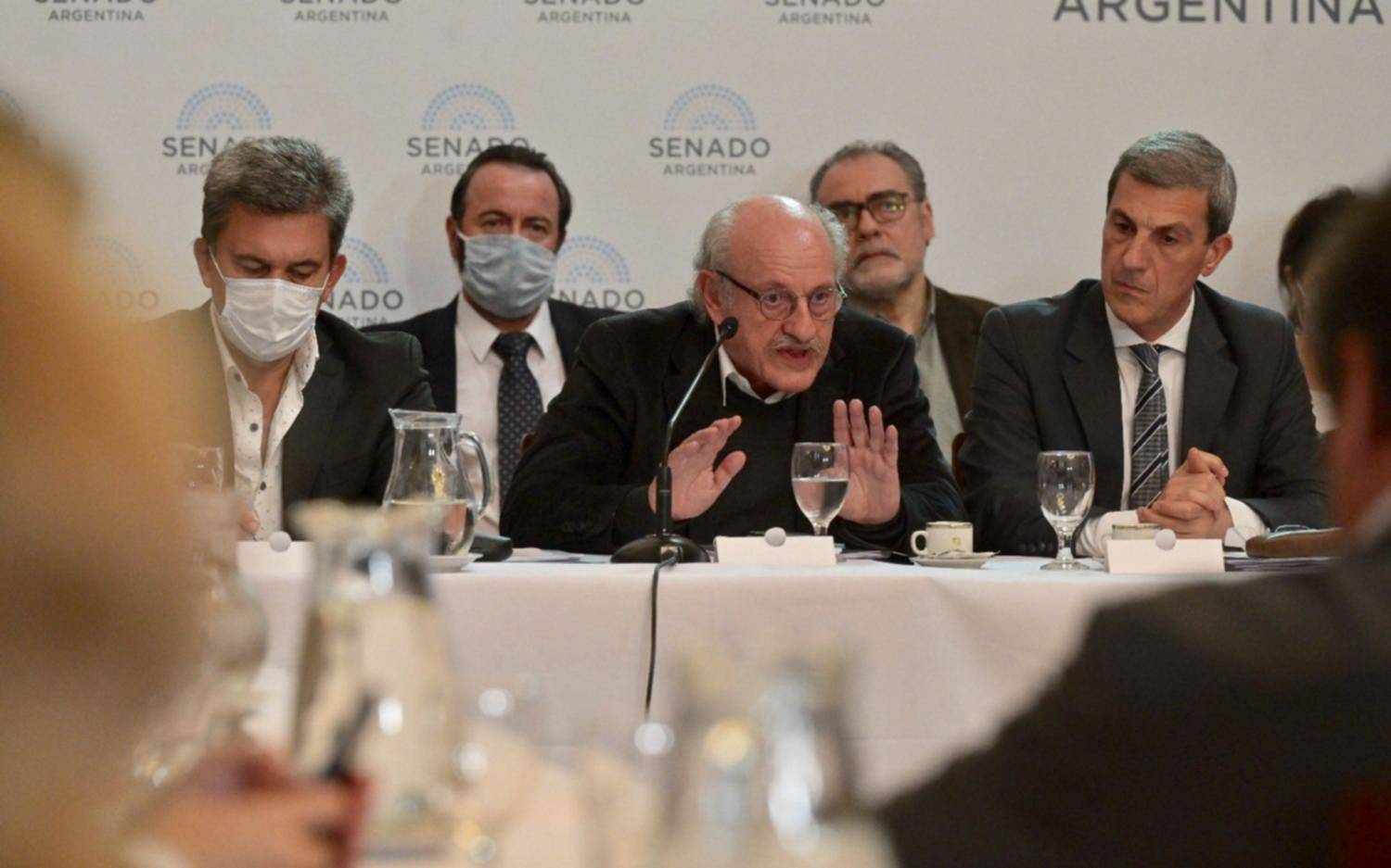 Con apoyo de sindicatos, el Senado comenzó el debate del nuevo impuesto para pagar la deuda al FMI