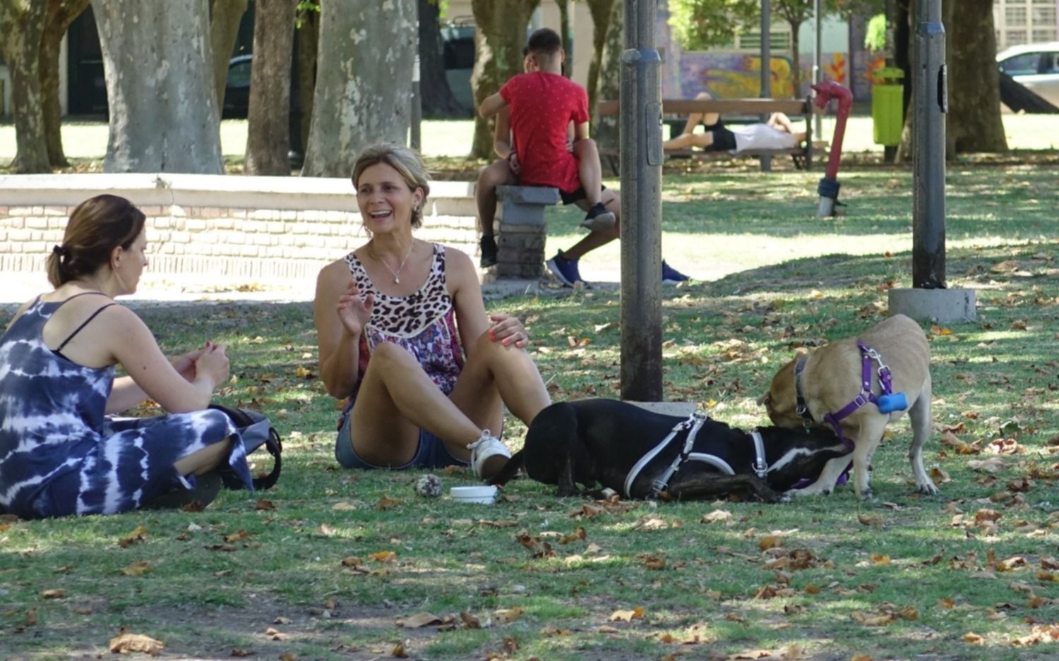 El verano no se quiere ir: jueves con 27º de máxima en La Plata