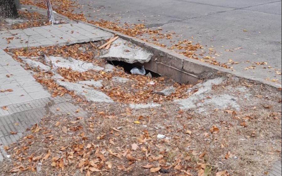 Llegó el otoño y se hace notar la ausencia de limpieza en la ciudad