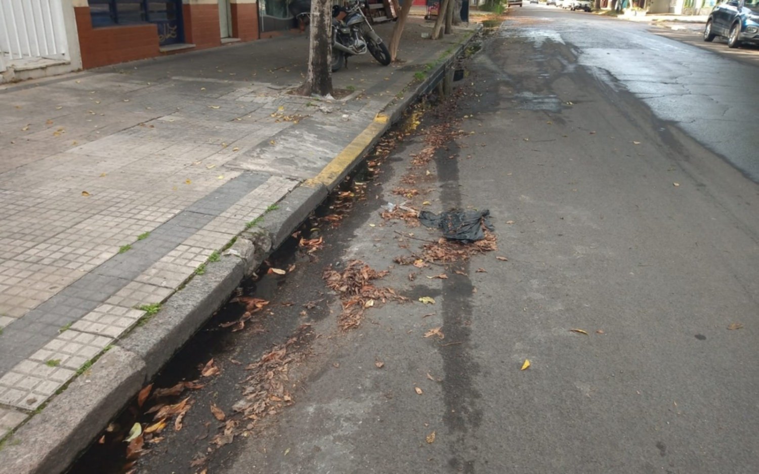 Vecinos de calle 17 y 68 reclaman desde hace más de un año y medio por molestas pérdidas de agua en la zona   
