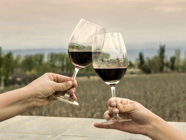 Los números de la uva Malbec en Argentina