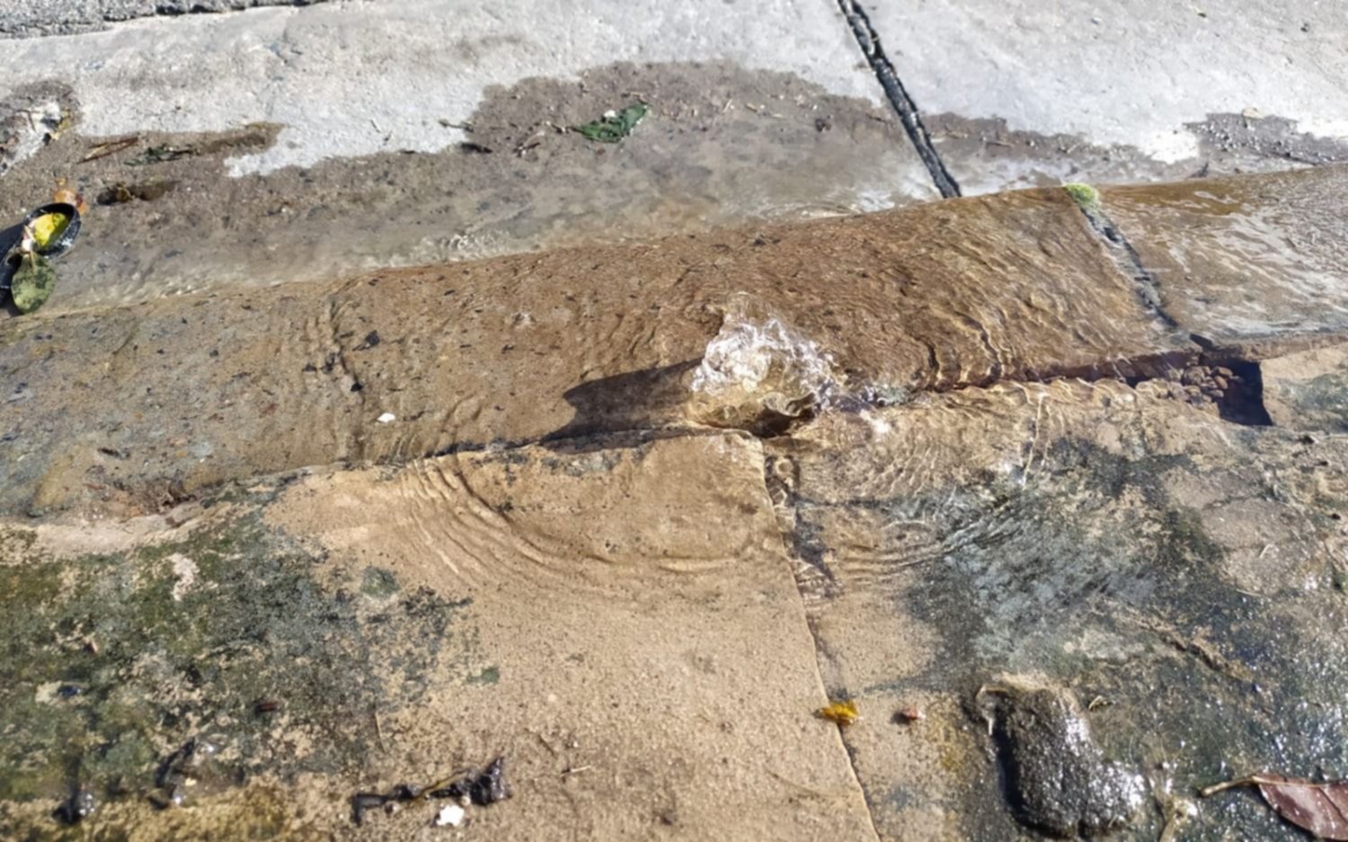En Villa Elvira reclaman por una pérdida de agua a metros de un colegio