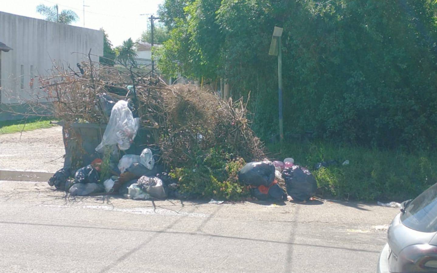 En Los Hornos, la basura se acumula en el contenedor hace una semana