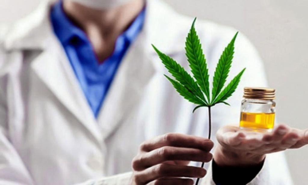 Cannabis medicinal: definieron nuevas regulaciones