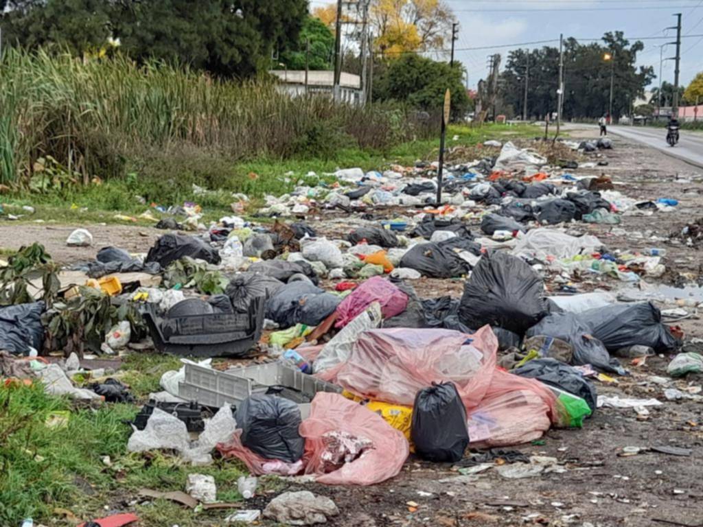 Basurales e invasión de ratas en Ruta 11 y 600