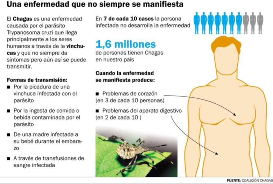 Enfermedad de Chagas: el 70% de quienes la tienen desconoce su condición