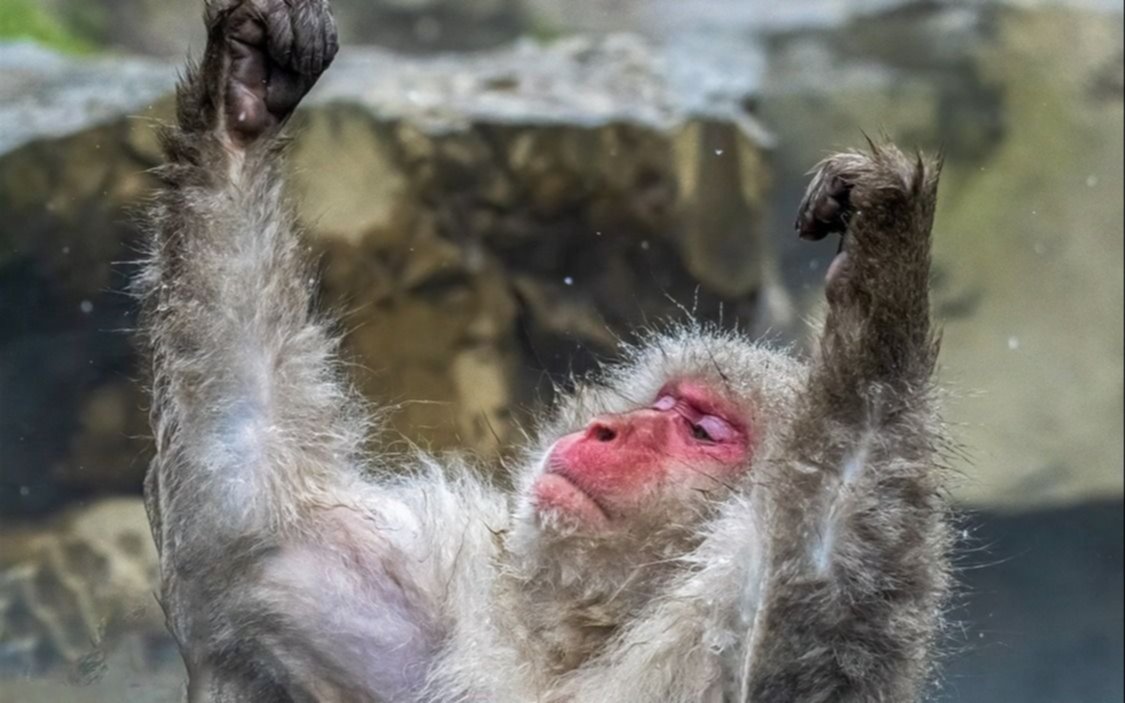 Viernes Santo a pleno sol en La Plata: así seguirá el clima