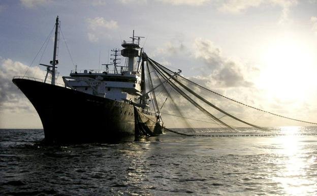 En el mar, ecosistemas alterados y menos variedades productivas