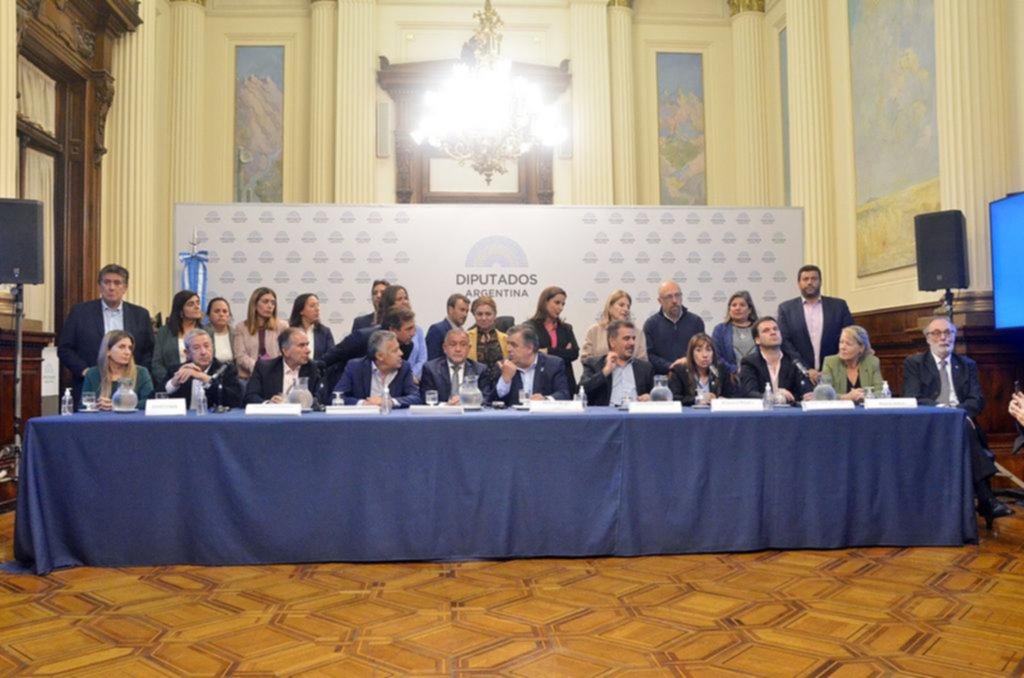 Magistratura y tensión: otra maniobra del kirchnerismo