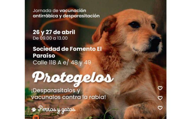 Nuevas jornadas de vacunación antirrábica y desparasitación