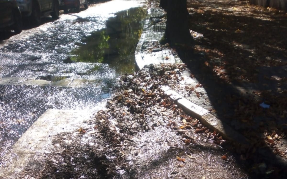Nuevo reclamo por la acumulación de la hojarasca y averías en la red de agua