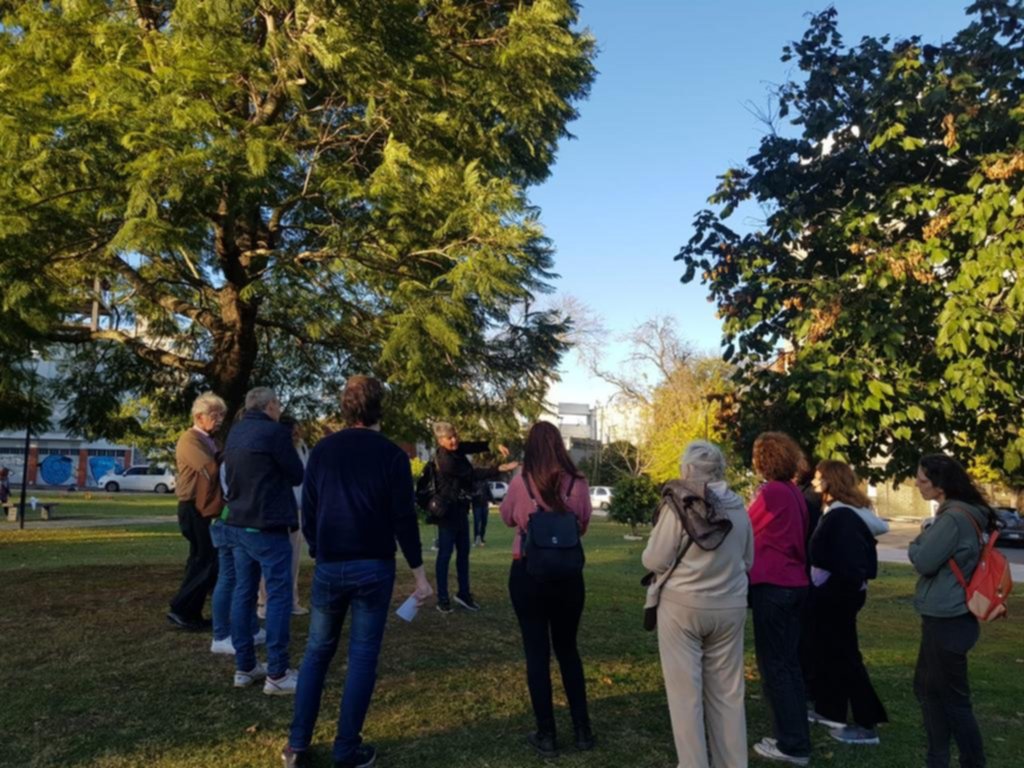 Salen a difundir la importancia del patrimonio arbóreo platense