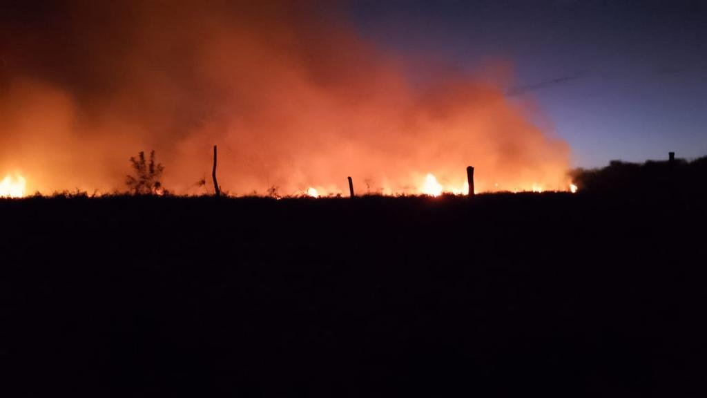 Incendio en un predio con pastizales en Punta Lara