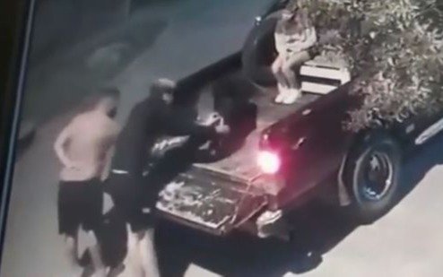 La historia detrás de la denuncia por el abandono de un perro en Berisso