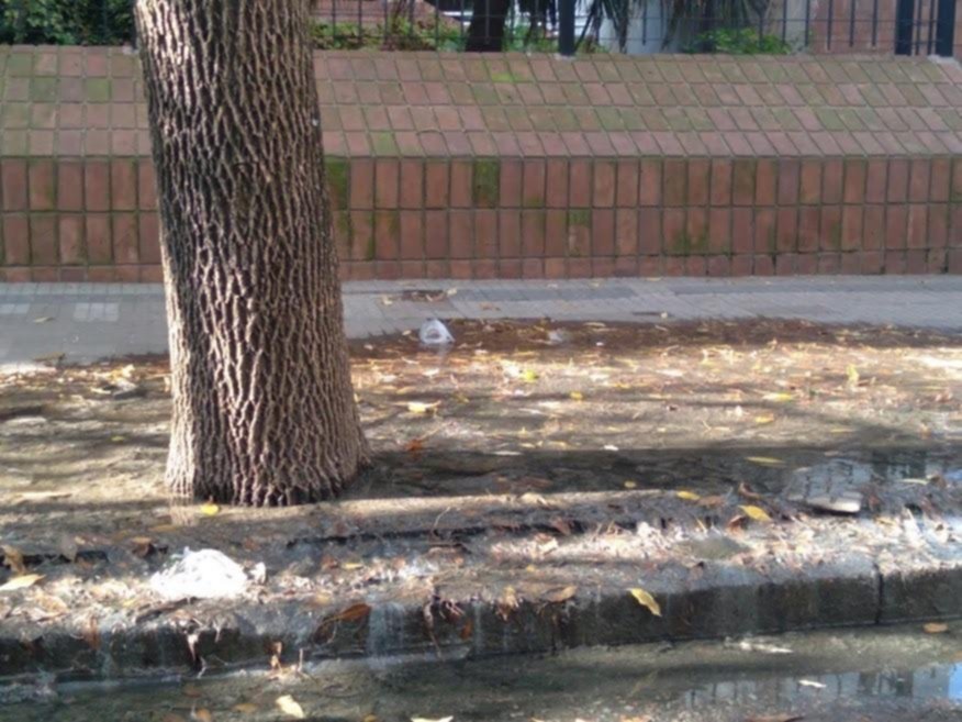 Enorme desborde cloacal y olor nauseabundo en la vereda de 5 entre 43 y 44