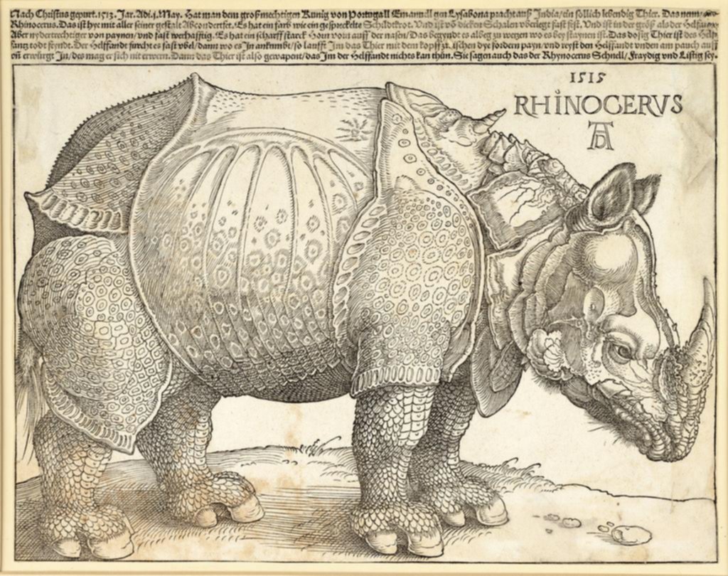 “El rinoceronte” de Durero y la revolución artística salida de las imprentas