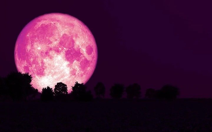 Llega la Luna Rosa: fecha, hora y cómo verla desde La Plata