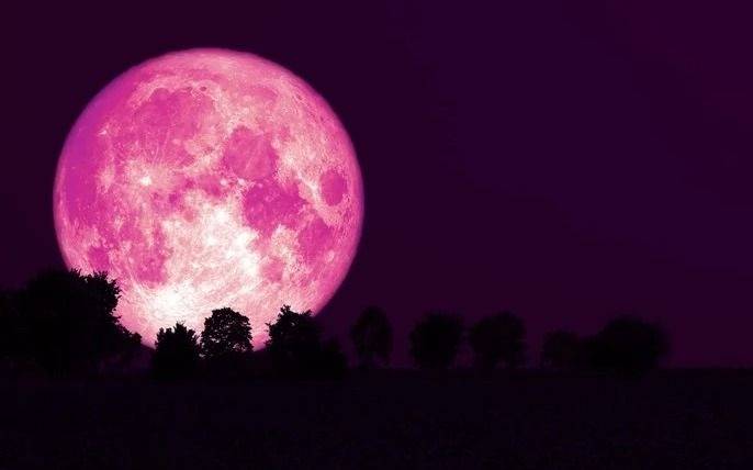 La "Luna Rosa" se podrá ver desde La Plata después de la medianoche