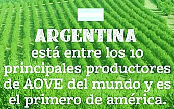 Somos el principal productor de AOVE de América