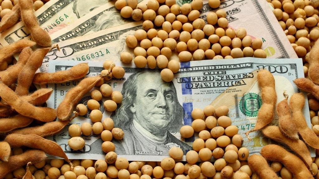 Arrancó muy “timidón” el nuevo dólar para el agro