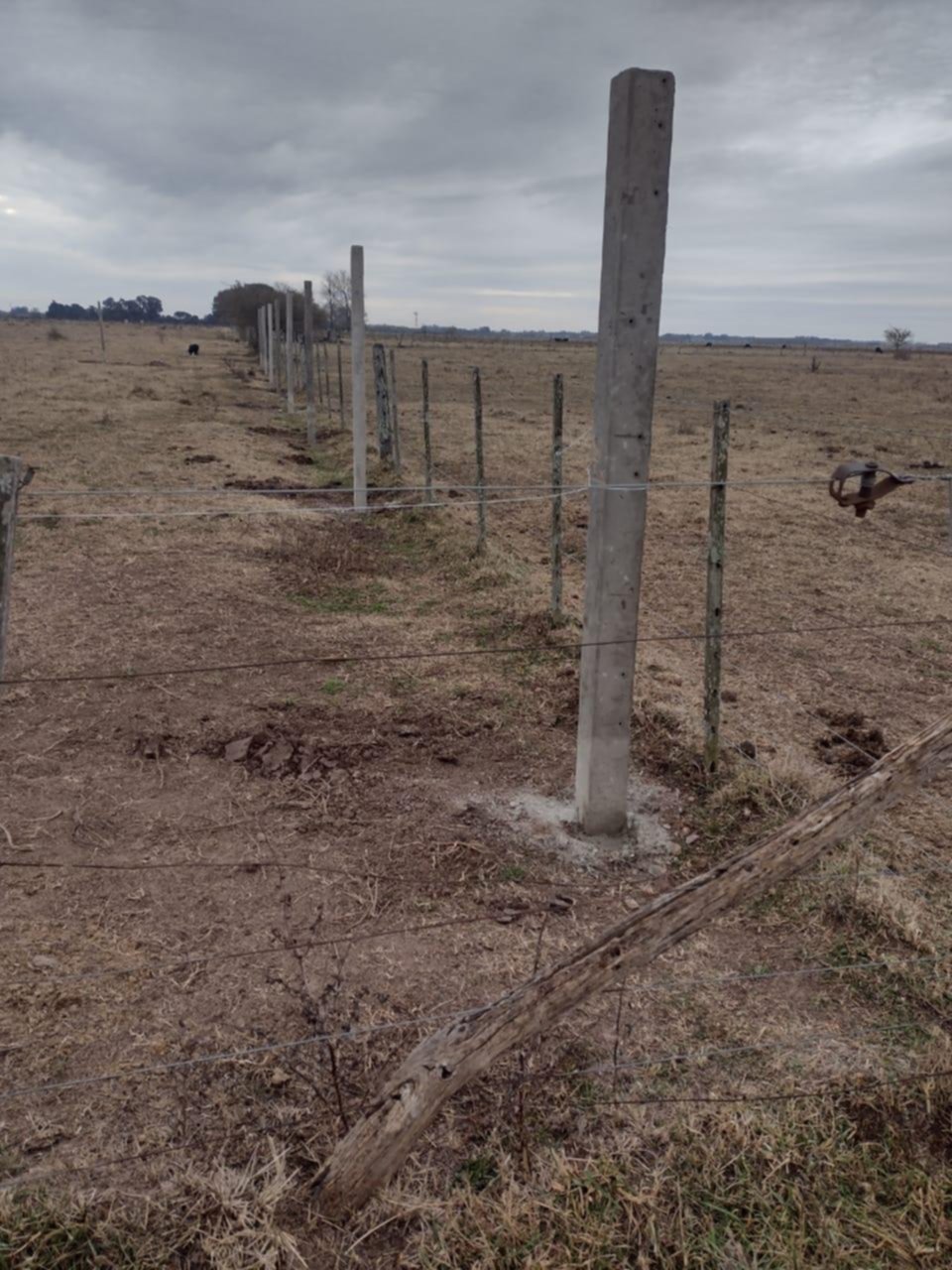 Reclamos por lotes de Villa Garibaldi y Sicardi