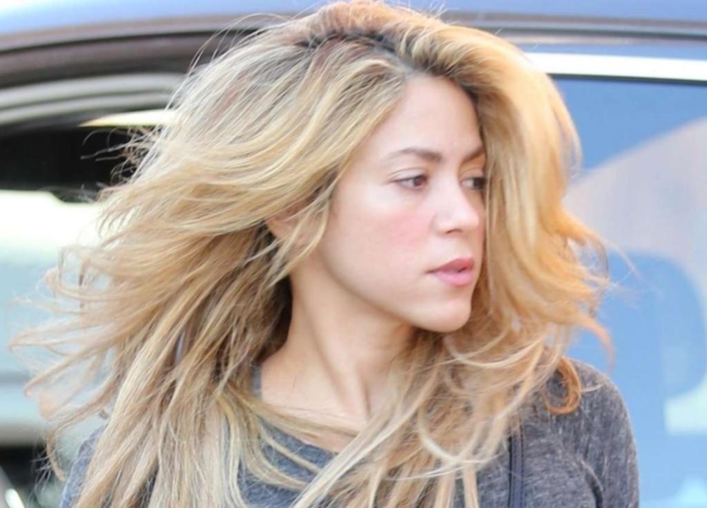 Shakira pidió que dejen a sus hijos en paz