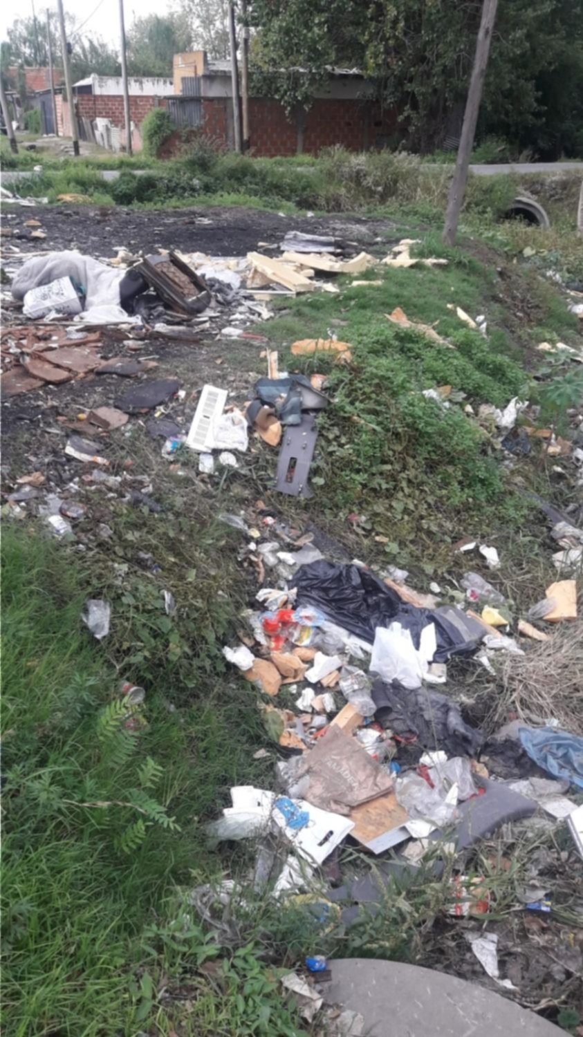 Preocupan en Altos de San Lorenzo los pastizales y un incipiente basural