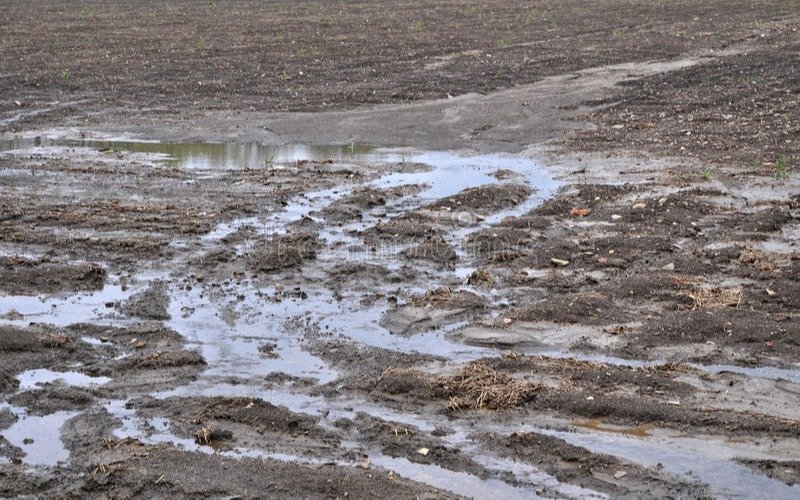 Los campos bonaerenses suman milímetros gracias a las lluvias