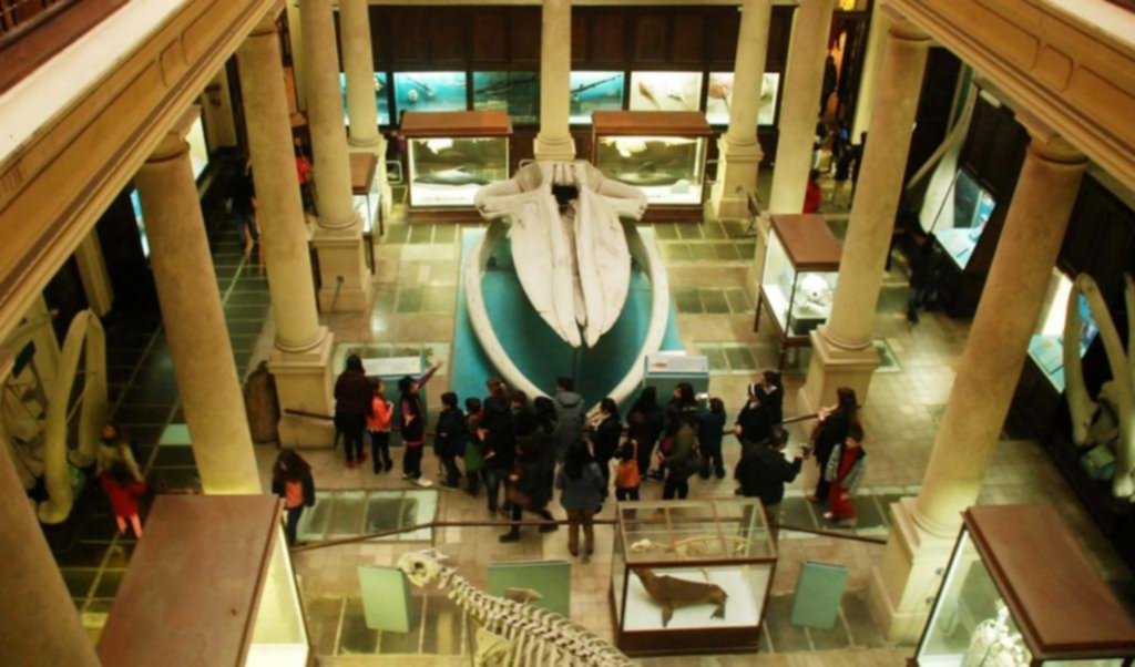 El Museo de La Plata: en un inédito relevamiento global