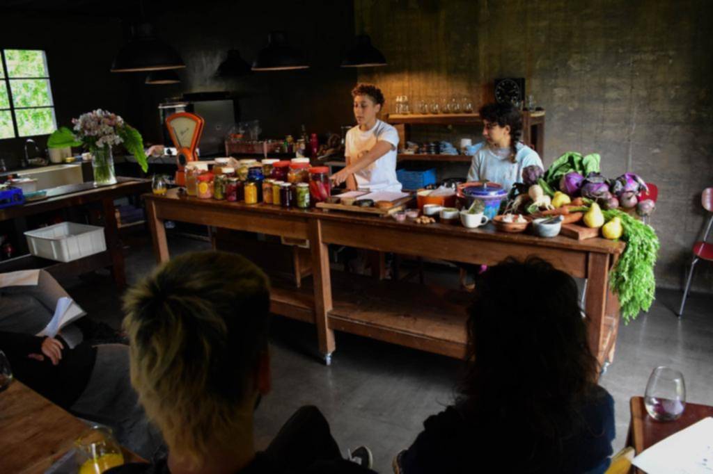 Origen, un pop-up con fermentos, hongos y plantas